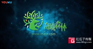 紅瓜子文化傳媒-奇鏡森林企業(yè)動畫宣傳片